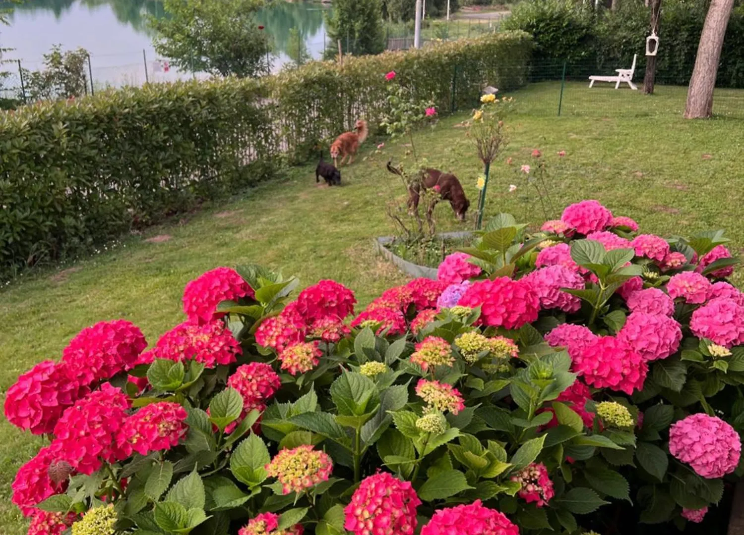 The Little Lake Verona Villa Bovo Guest house