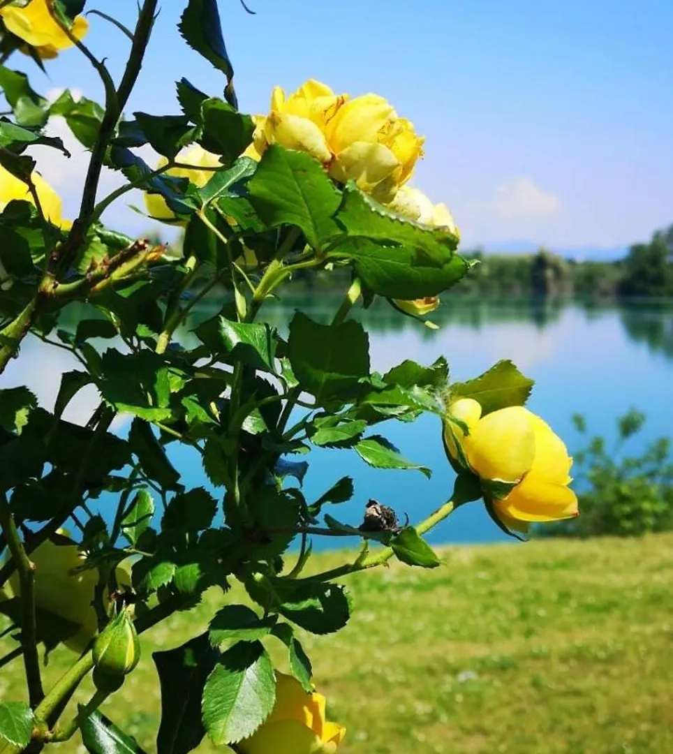 The Little Lake Verona Villa Bovo 0*,