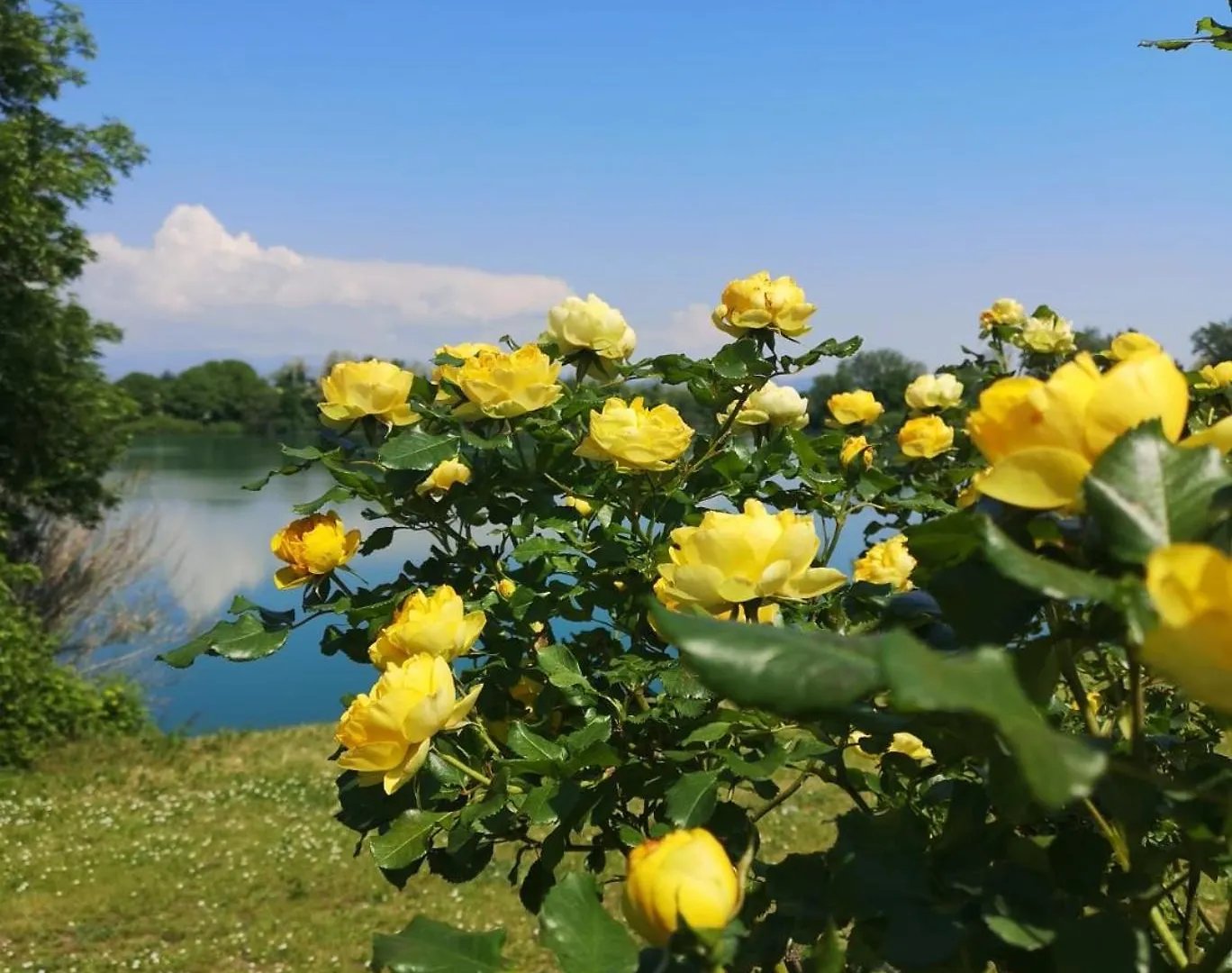 The Little Lake Verona Villa Bovo 0*,  Italy